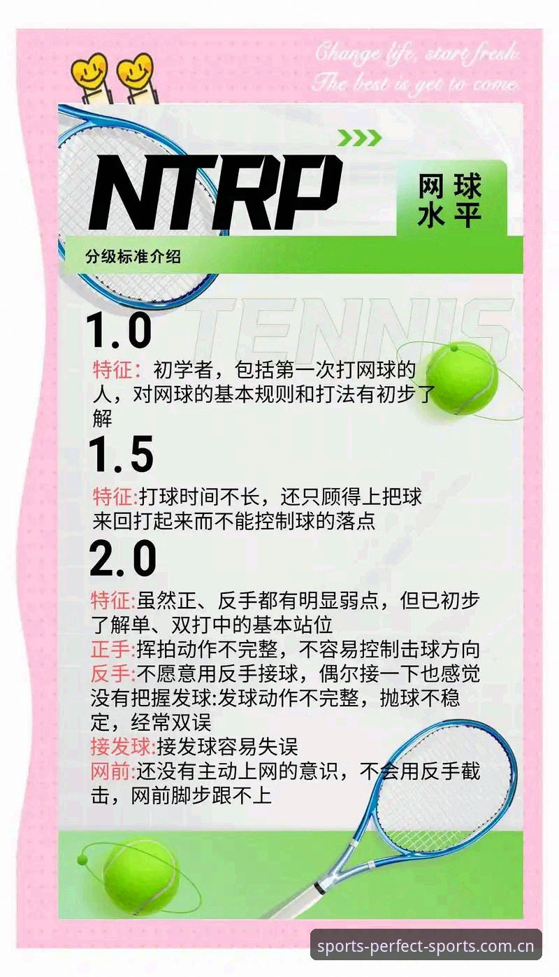 完美体育网球使用指南 完美体育网球使用指南:从入门到精通的全面介绍